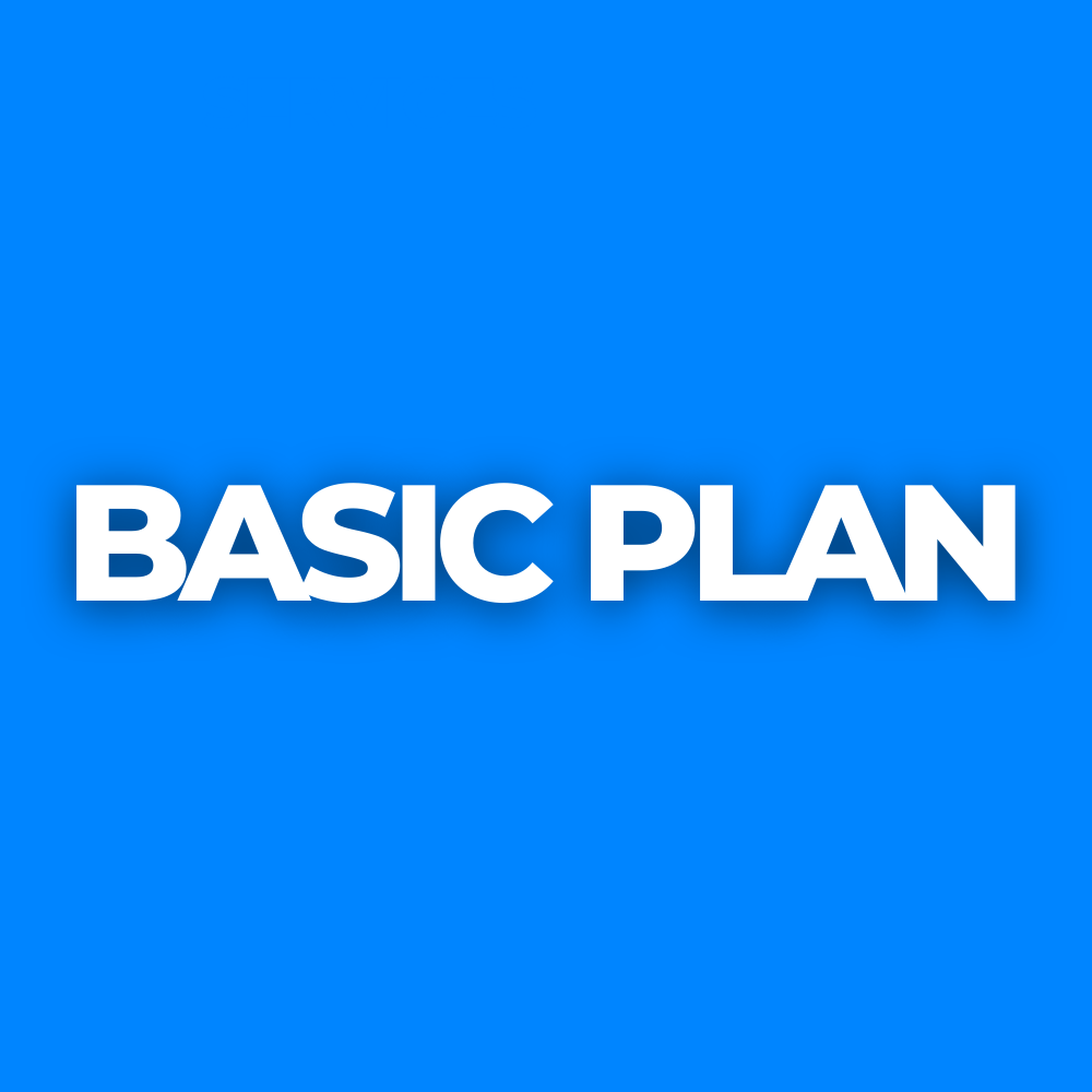 1 Website